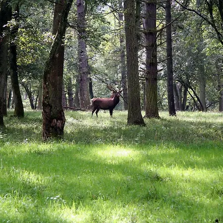 Le Ry D'ave 3* Ave-et-Auffe